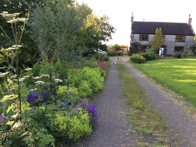 Picture of drive with flower border to left and grass to right with house at far end